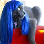 Скромница Ромашка