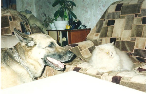 Марина Игнатова