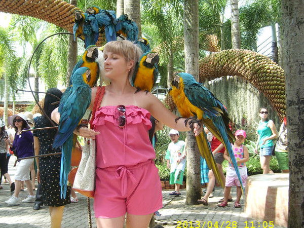 Светлана Кнауб