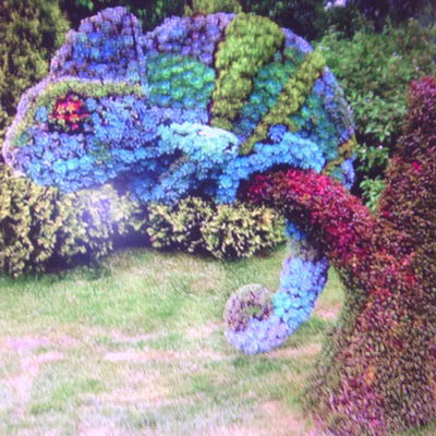 Виктория Абрамова