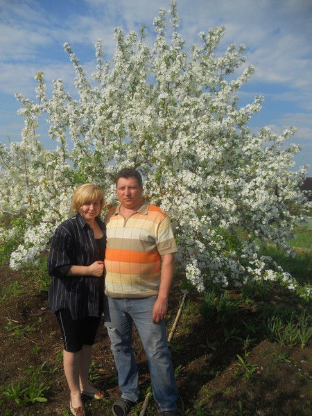 Андрей Бабаев