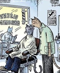 Тахир Бекмансуров