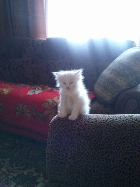 Александр *****