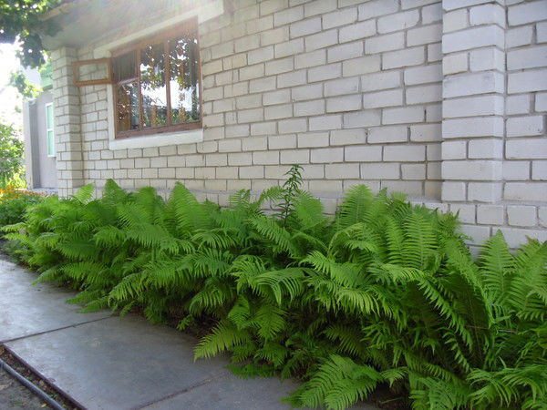 Мария Брызгунова