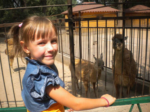 София Бабой