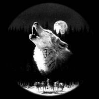 Алмас Амиржанов