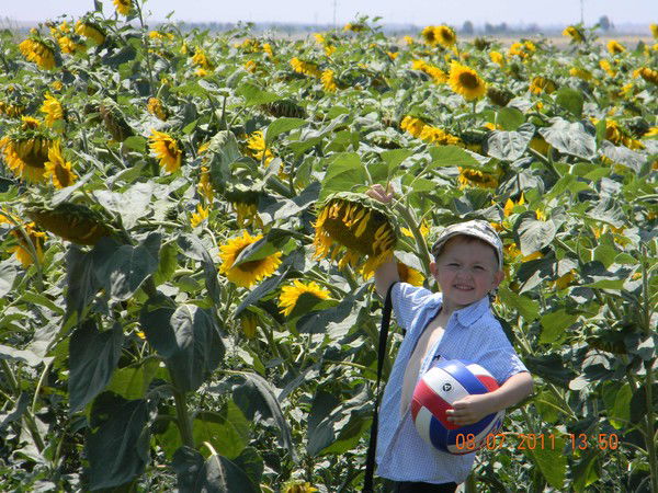 Глеб Данилов