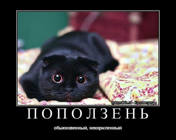 Иван Кузнецов