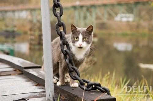 Владимир Лымарь