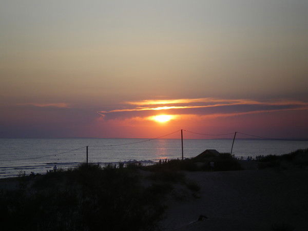 Наталья Жучкова