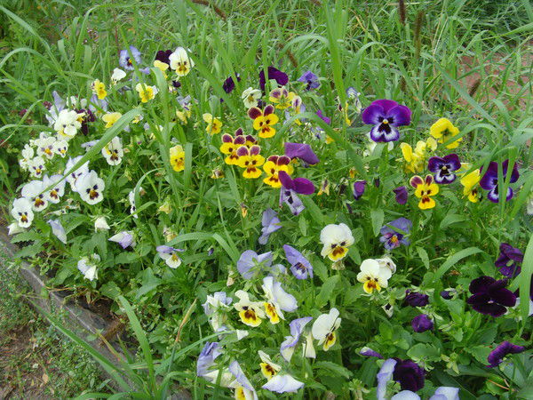 Центр Занятости