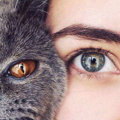 Мария Перевертова