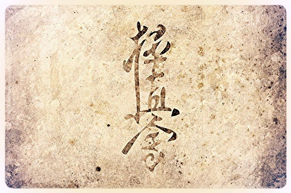 Никита Айдин