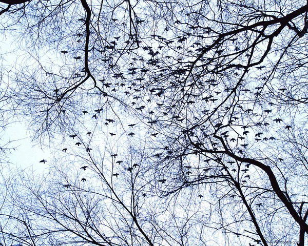 Юлька Юлька