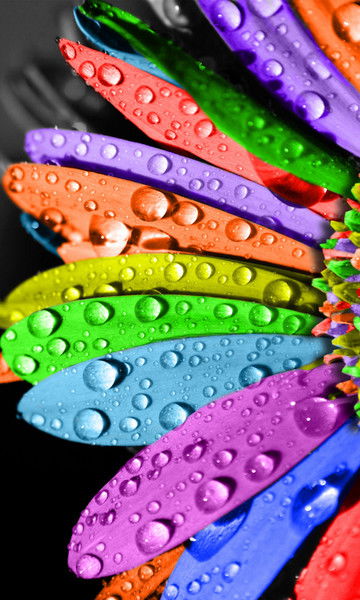 Светлана Гайн