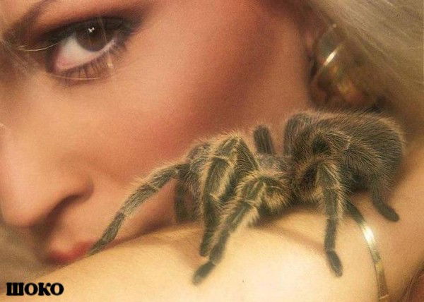 Горький Шоколад