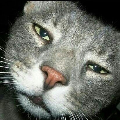 Dаурен Sабиров