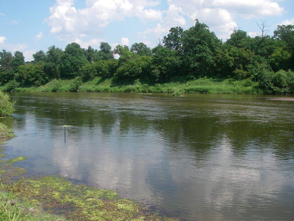 Алексей Журавлев