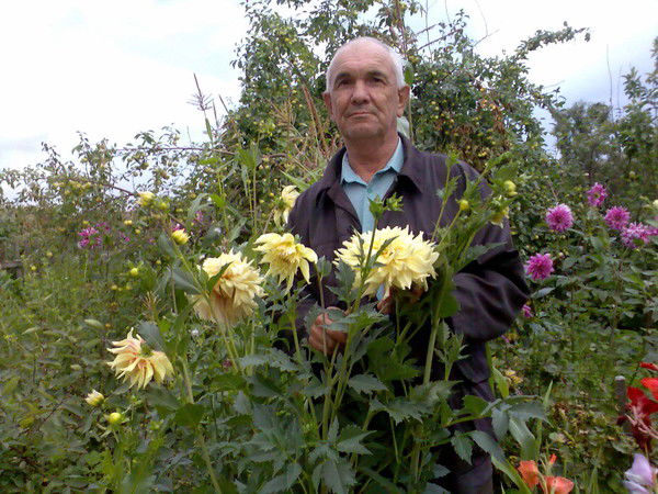 Владислав Тишаков