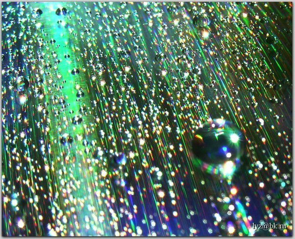 Татьяна Андриевская