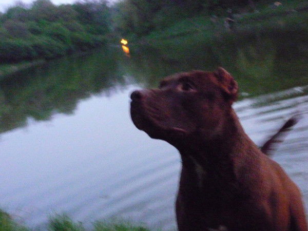 Наталья+Николай Смоловы