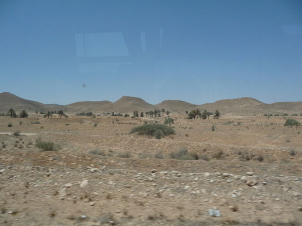 Ирина Калачева