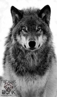 Артур Сынбулатов