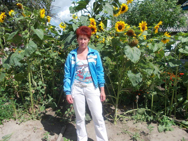 Алла Захарченко