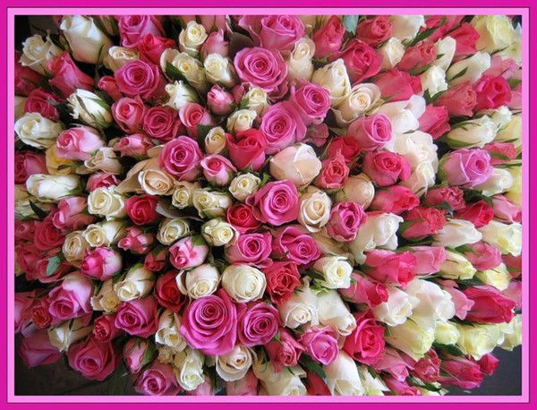 Яна Баранникова