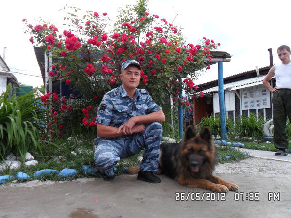 Александр Андреев