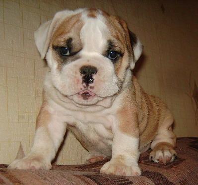 Наташа Кропачева