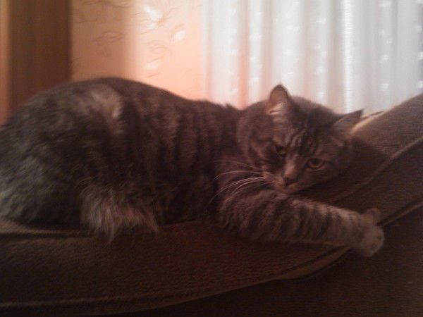 Сергей Герасимов