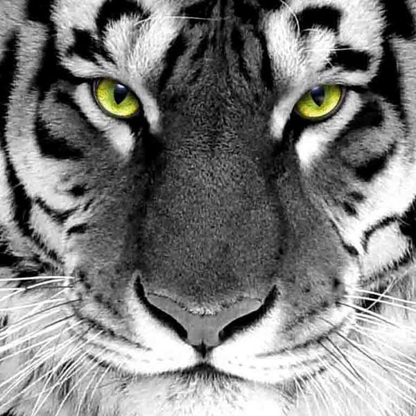 Марат Ахмадуллин