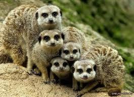 Евгения @@@@@@@@