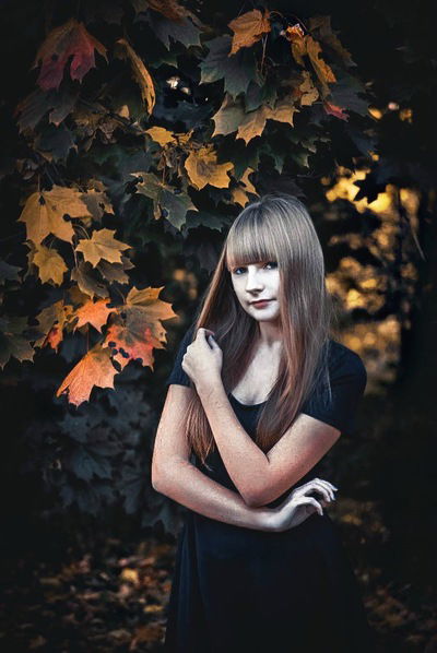 Влада Числова