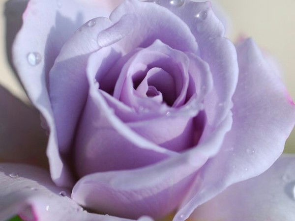 Жамиля Байболатова