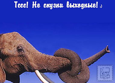 Михаил Колодезников