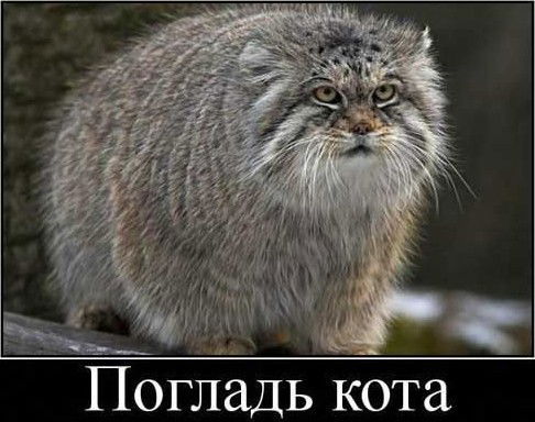 Валерий Матвеев