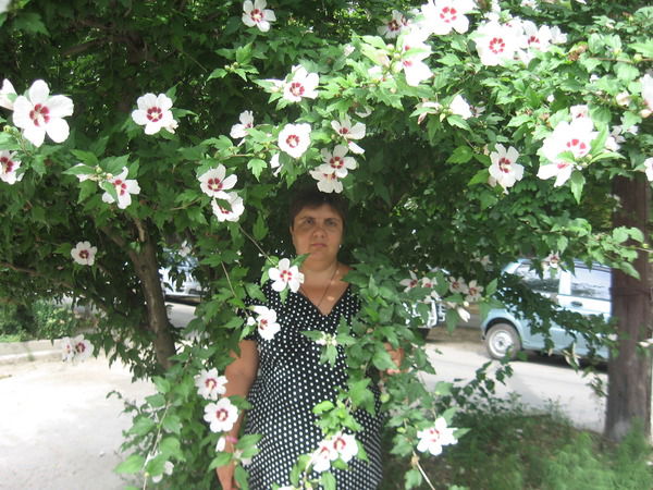 Анна Ларионова