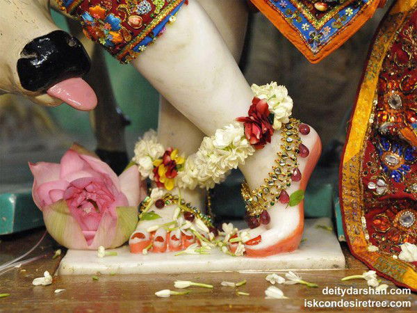 Любовь Лебедева