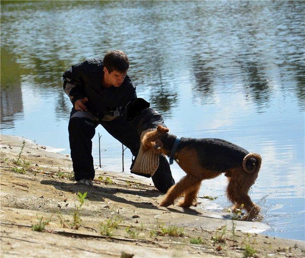 Игорь Додин