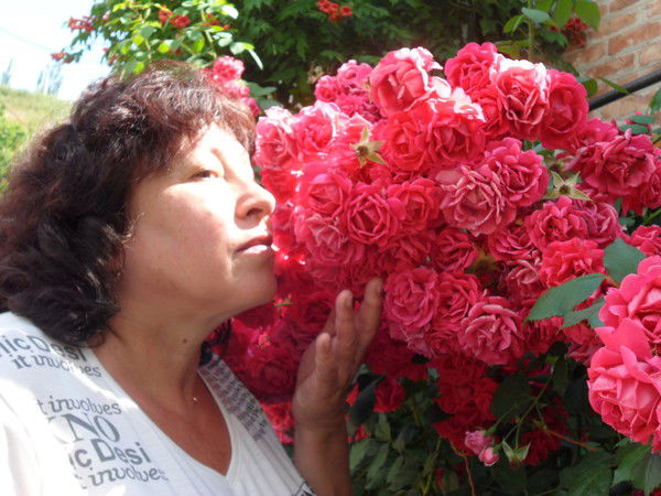 Светлана Ширяева