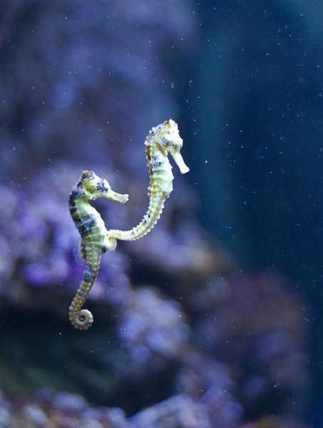 Камила Ильясова