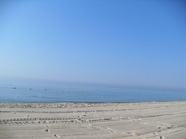 Екатерина Коршунова