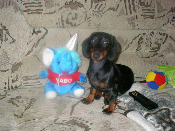 Анна Еремеева