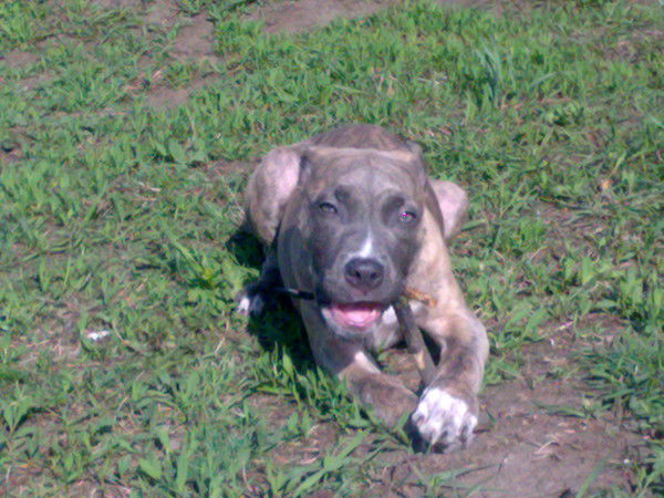 Сергей Сергей