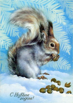 Светлана Сидоренко