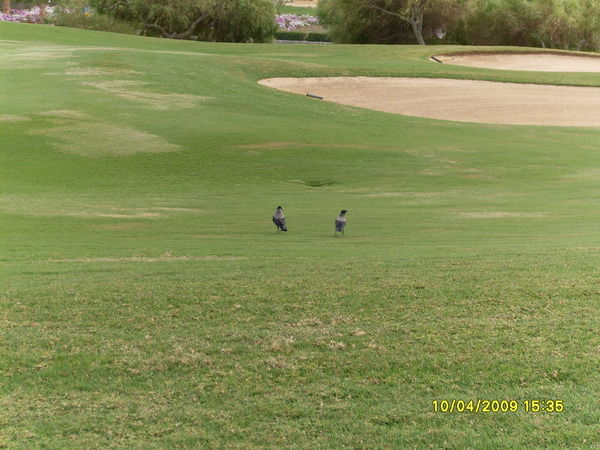 Сергей Смирнов