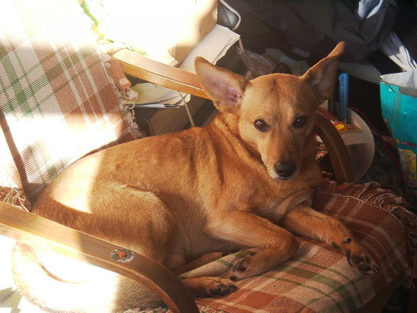 Юля Касаткина