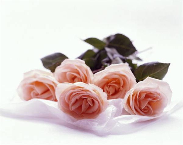 Жадыра Жалекенова